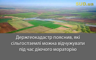 Держгеокадастр пояснив, які сільгоспземлі можна відчужувати під час діючого мораторію
