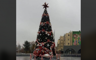 У Києві встановили першу новорічну ялинку: фото