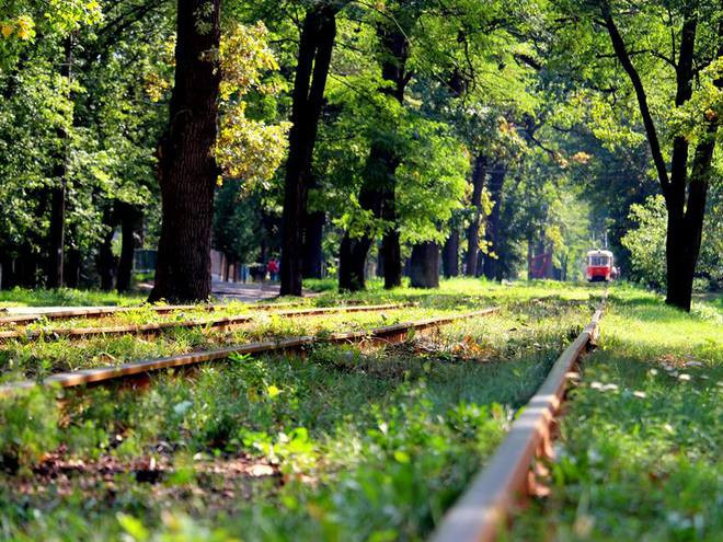 Київській громаді повернули землю у Пущі-Водиці вартістю 106 млн грн