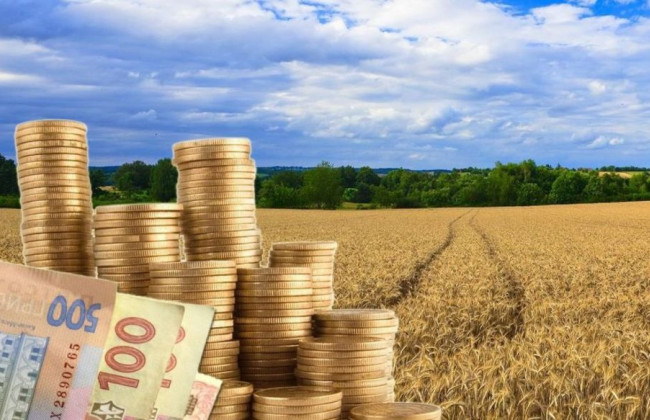 Кабмін готується ухвалити нову Методику нормативної грошової оцінки земельних ділянок