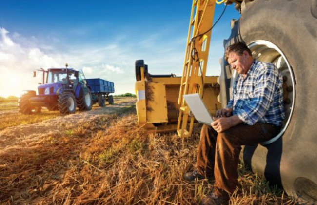 У запропонованій Кабміном підтримці фермерських господарств побачили дискримінацію