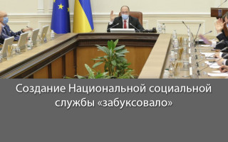 Создание Национальной социальной  службы «забуксовало»