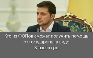Кто из ФОПов сможет получить помощь от государства в виде 8 тысяч грн