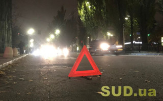 Под Киевом полицейский насмерть сбил пешехода