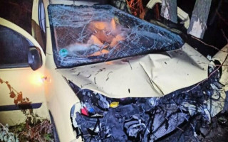 В Чернигове клиент такси угнал автомобиль и разбился на нем: фото