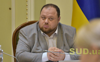 Стефанчук закликав Раду розглянути законопроект про всеукраїнський референдум