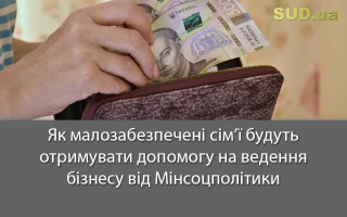 Як малозабезпечені сім’ї будуть отримувати допомогу на ведення бізнесу від Мінсоцполітики
