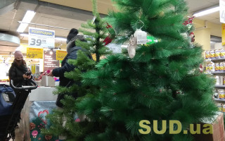 За сколько можно купить новогоднюю елку в декабре