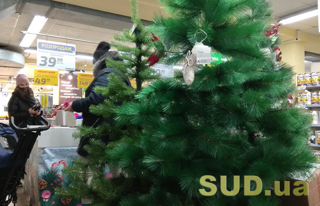 За сколько можно купить новогоднюю елку в декабре