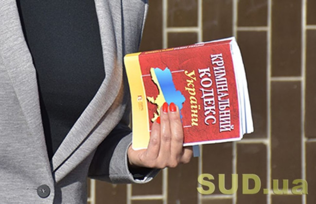 НАЗК знайшло корупційні ризики в законопроекті про внесення змін до Кримінального кодексу
