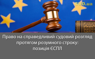 Право на справедливий судовий розгляд протягом розумного строку: позиція ЄСПЛ
