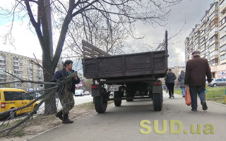 В Киеве начали проводить обрезку деревьев: водителей просят быть осторожными