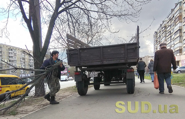 В Киеве начали проводить обрезку деревьев: водителей просят быть осторожными
