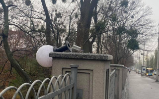 В центре Киева вандалы разбили светильники: фото