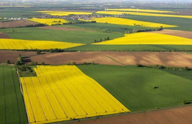 Держгеокадастр взявся за боротьбу з накладками земельних ділянок