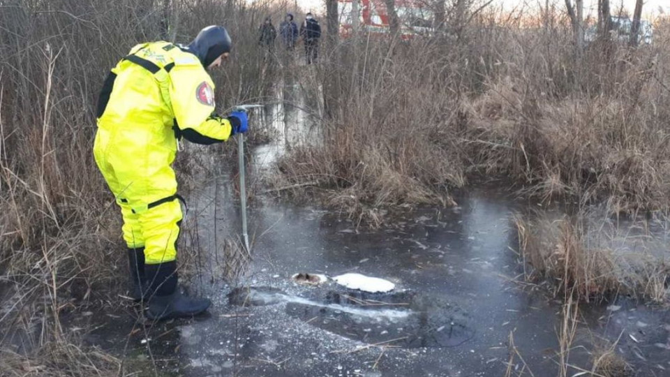 Жахлива знахідка: у Києві рятувальники дістали із водойми замерзле тіло чоловіка