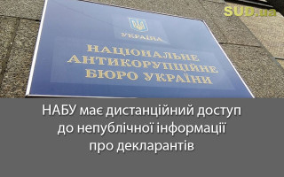 НАБУ має дистанційний доступ до непублічної інформації про декларантів