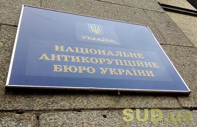 НАБУ має дистанційний доступ до непублічної інформації про декларантів