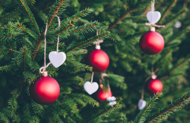 Стало известно, чем украсят главную елку страны на Софийской площади: фото