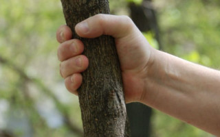 Бив матір палицею по ногах: на Хмельниччині покарали чоловіка