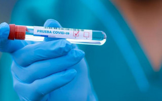 COVID-статистика: за сутки подтвердили 13 371 новый случай