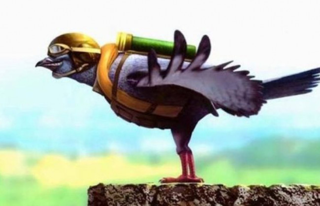 Поштові голуби: скоро в усіх судах України