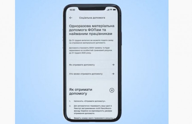 Як оформити 8 000 грн допомоги у «Дії»: відеоінструкція