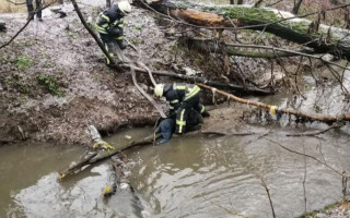 Трагедія у Києві: зі ставка дістали тіло чоловіка