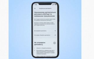 Подача заяви на одноразову карантинну допомогу ФОПам: як дізнатися про її статус