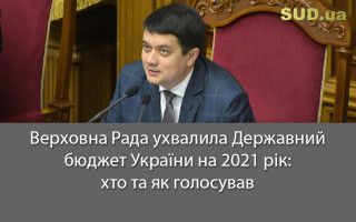 Верховна Рада ухвалила Державний бюджет України на 2021 рік: хто та як голосував