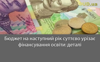 Бюджет на наступний рік суттєво урізає фінансування освіти: деталі