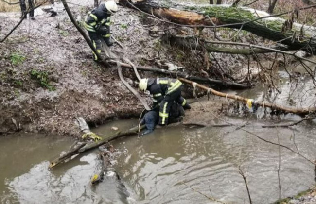 Трагедія у Києві: зі ставка дістали тіло чоловіка