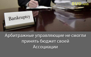 Арбитражные управляющие не смогли принять бюджет своей Ассоциации