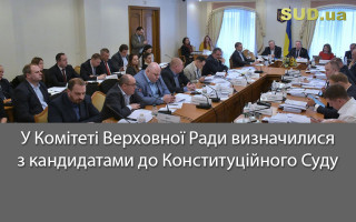 У Комітеті Верховної Ради визначилися з кандидатами до Конституційного Суду