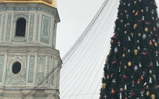 В Киеве на главную ёлку страны установили звезду, фото