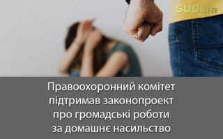 Правоохоронний комітет підтримав законопроект про громадські роботи за домашнє насильство