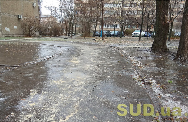 Как бороться с гололедом: мировой опыт в помощь Украине