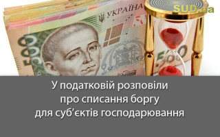 У податковій розповіли про списання боргу для суб’єктів господарювання