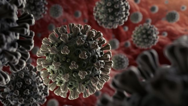 В ВОЗ объяснили мутацию коронавируса и спрогнозировали эффективность вакцины