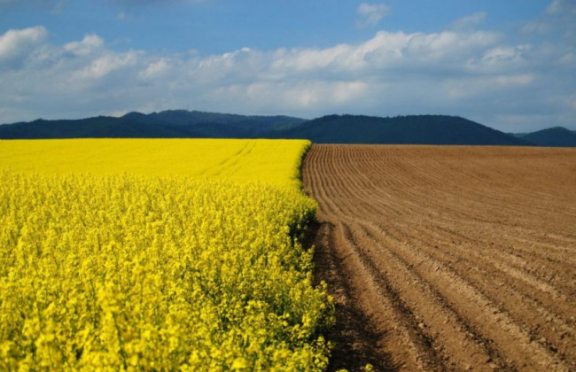 ВС висловився щодо оскарження висновків державної експертизи у сфері земельних відносин