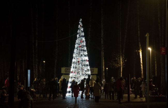 У київському парку «Совки» встановили незвичну ялинку, фото