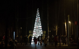 У київському парку «Совки» встановили незвичну ялинку, фото
