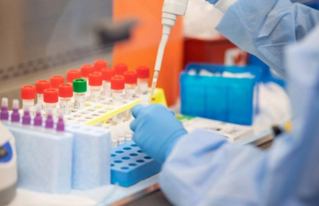 Стало известно, как долго держится иммунитет к коронавирусу