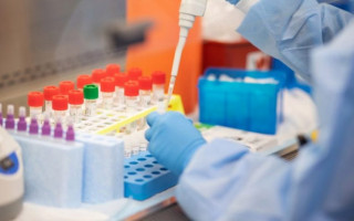 Стало известно, как долго держится иммунитет к коронавирусу