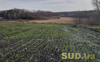 Як укласти договір суборенди землі