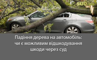 Падіння дерева на автомобіль: чи є можливим відшкодування шкоди через суд