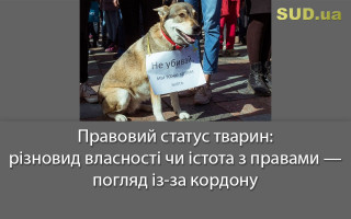 Правовий статус тварин: різновид власності чи істота з правами — погляд із-за кордону