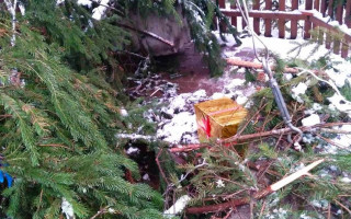 В Києві вандали познущалися над новорічними ялинками, фото