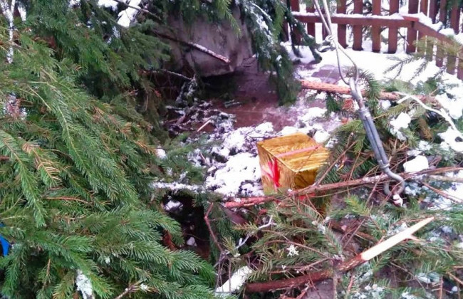 В Києві вандали познущалися над новорічними ялинками, фото