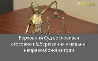 Верховний Суд висловився стосовно підбурювання у наданні неправомірної вигоди